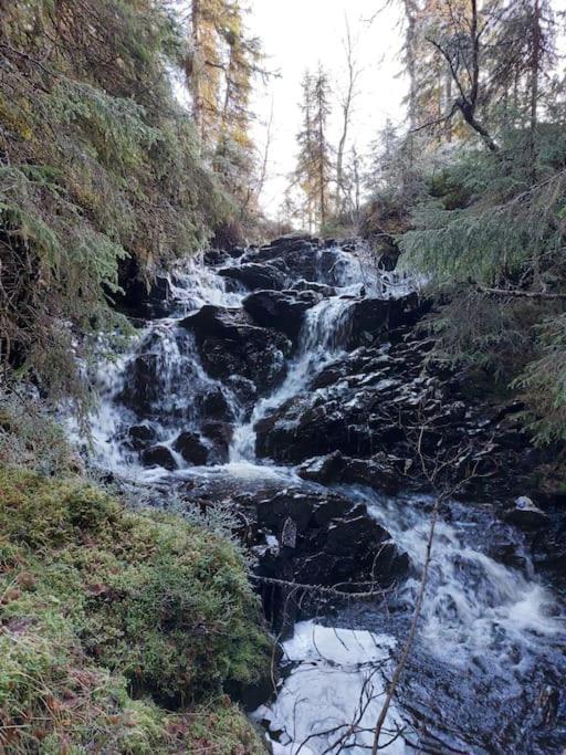 Guesthouse Hamran Mosvik Kültér fotó