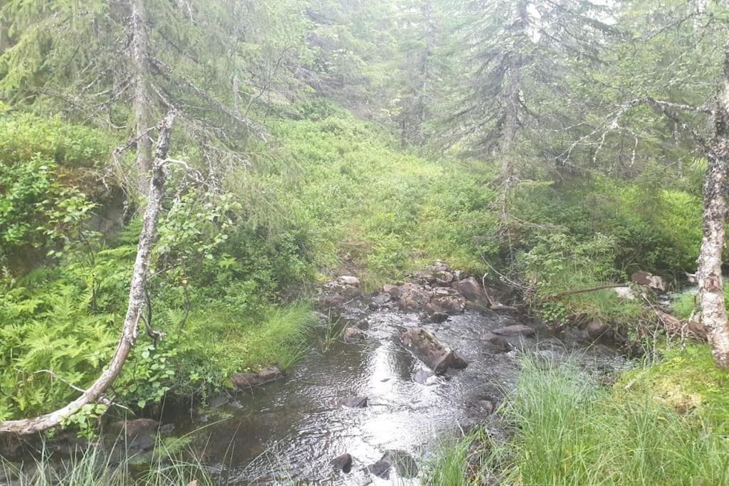 Guesthouse Hamran Mosvik Kültér fotó